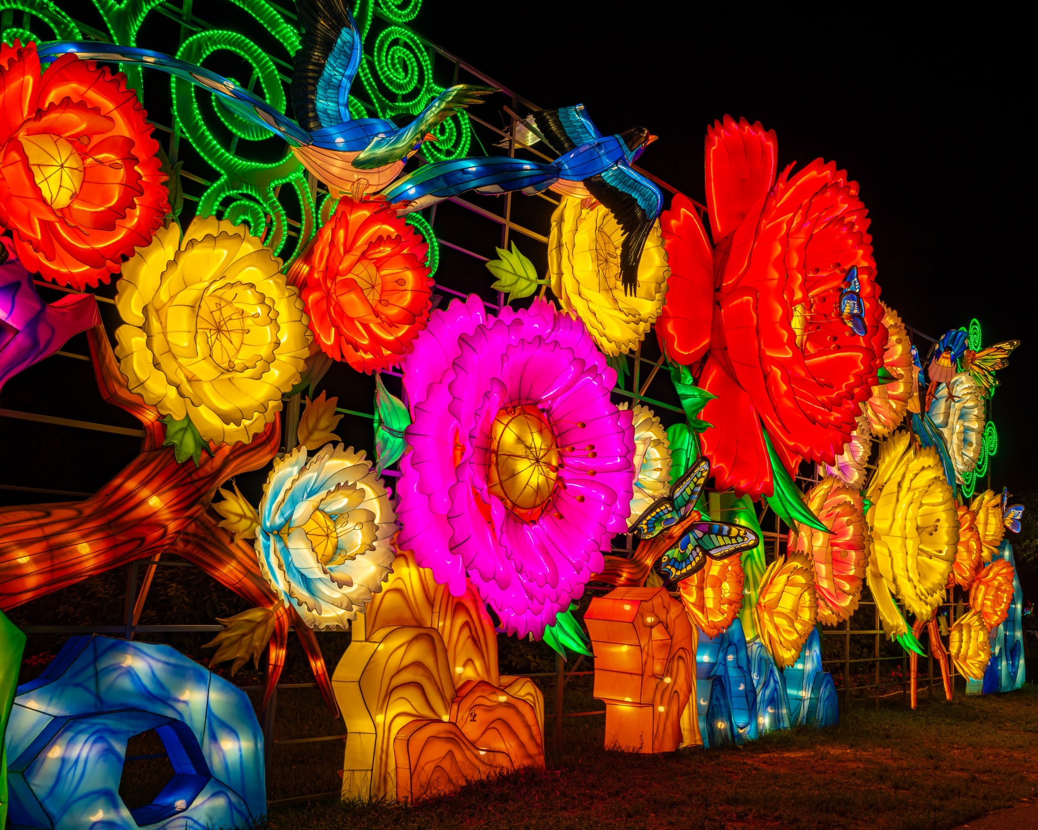 flowers, lights, dark, colorful