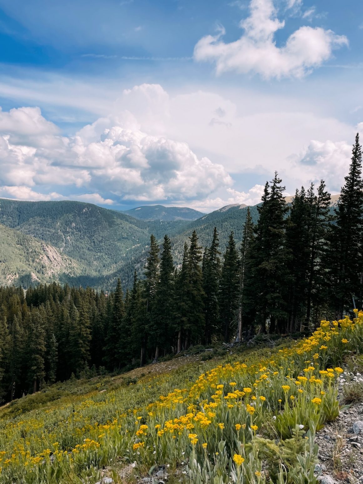 How to Experience Summers in Taos Ski Valley - 303 Magazine