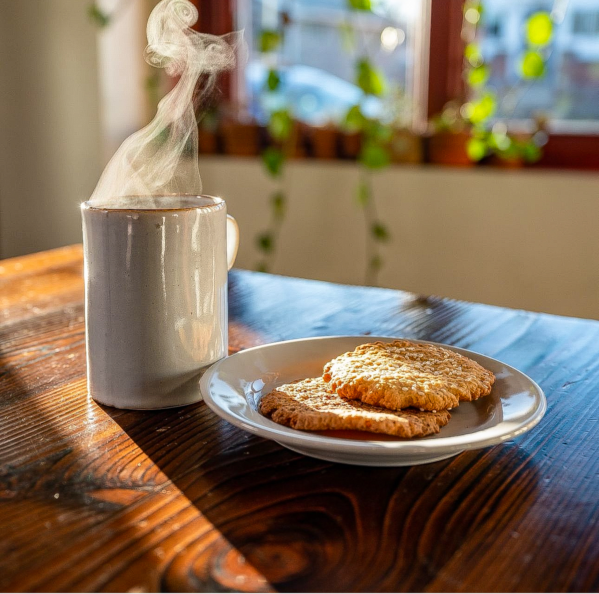Image of a cup of coffee and two cookies.