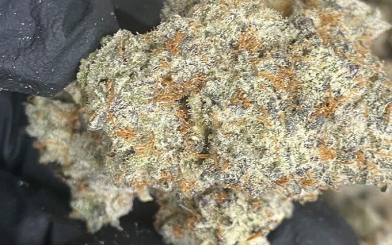 Evaluating Quality and Purity, ⁣Interpreting Certificates⁤ of Analysis ​and laboratory Benchmarks for Bulk THCA