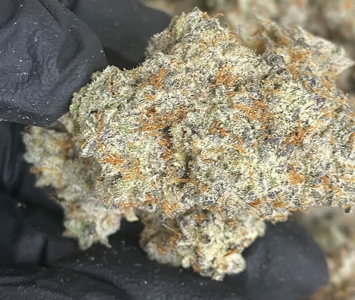 Bulk THCa Flower: Order From The Best - 303 Magazine