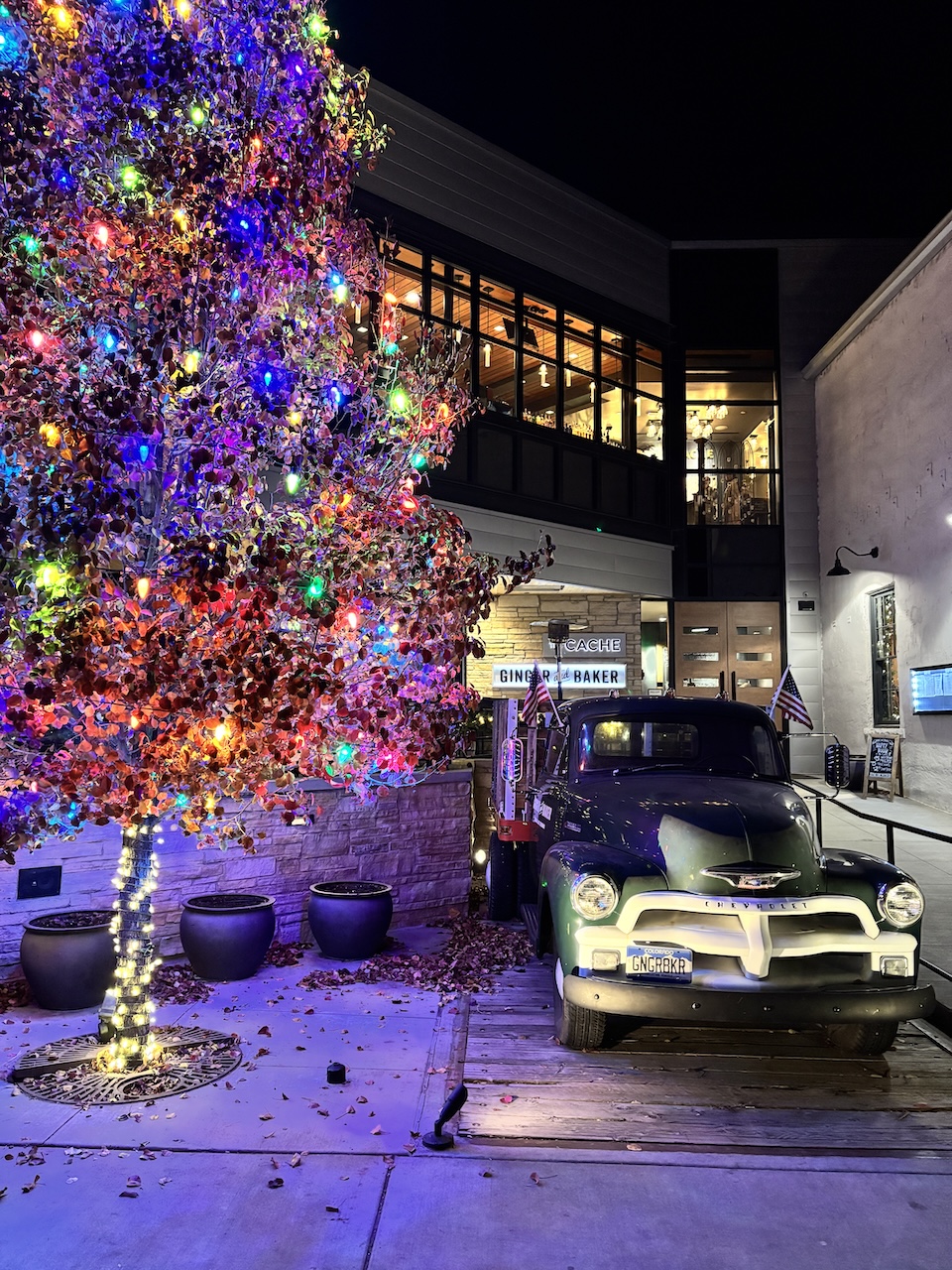 old town fort collins holiday lights