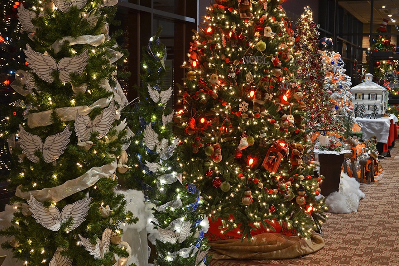 greeley festival of trees