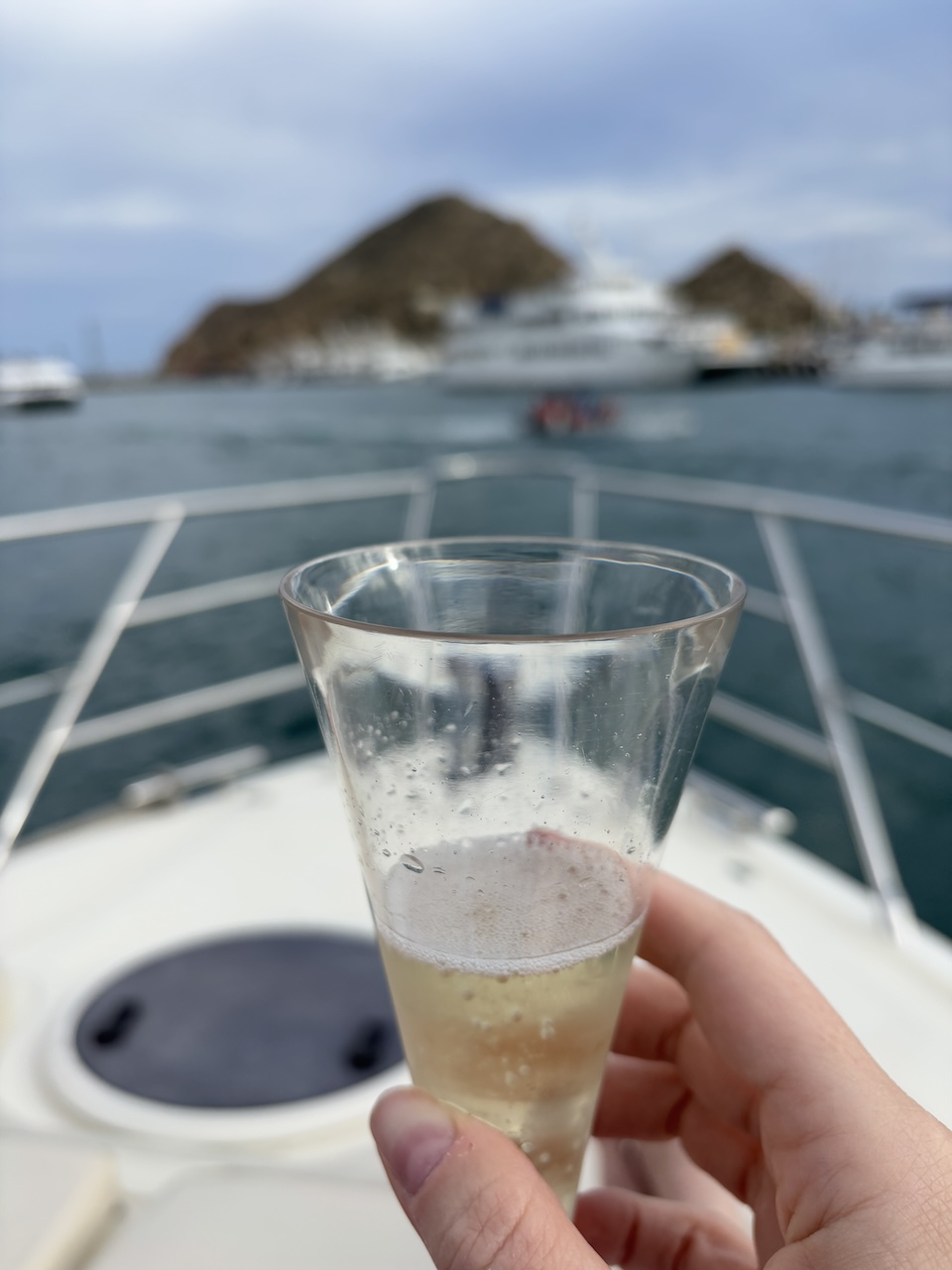 champagne toasts and whale watching