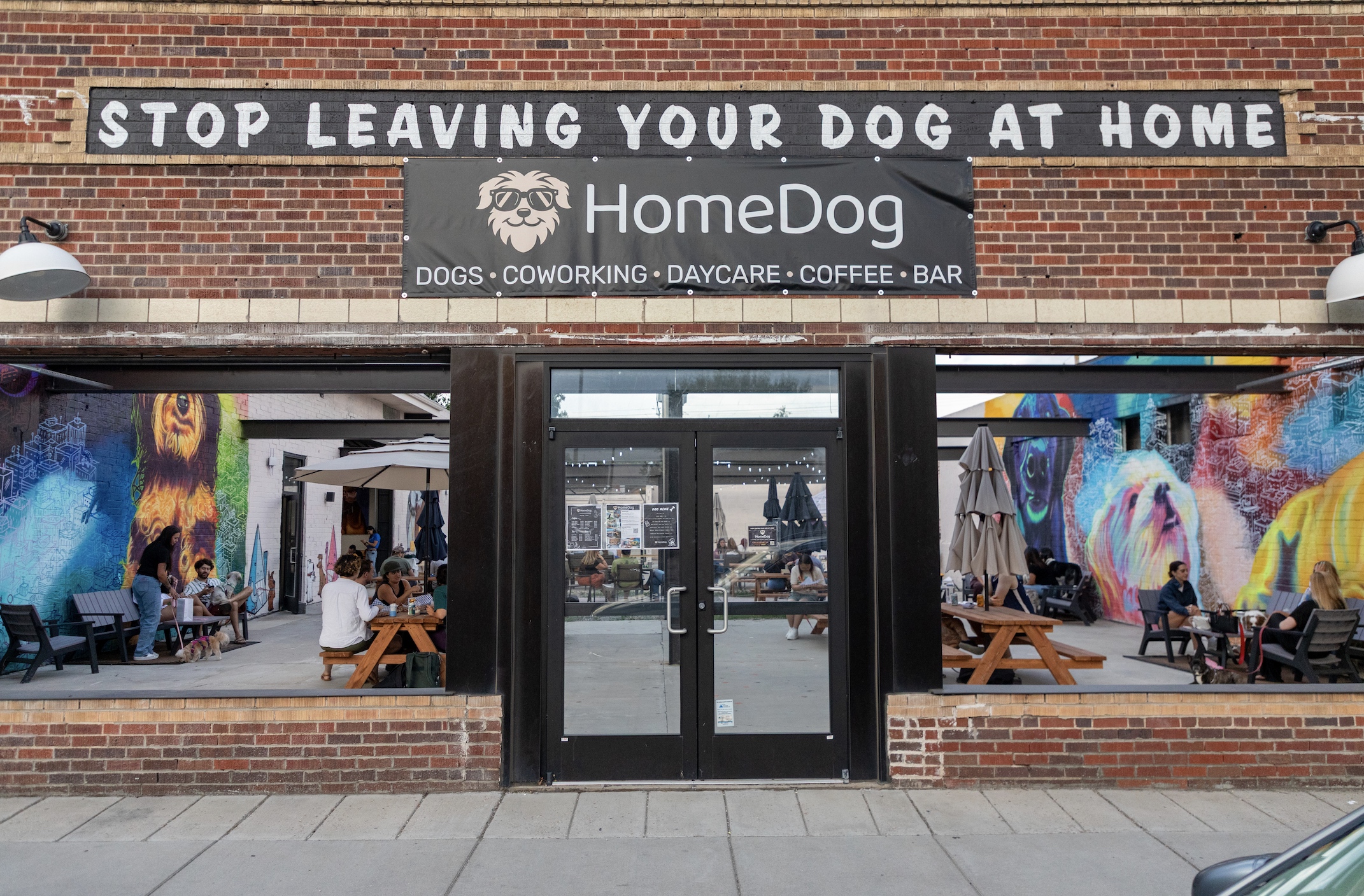 Denver Dog Reviews Newest Canine Utopia, HomeDog