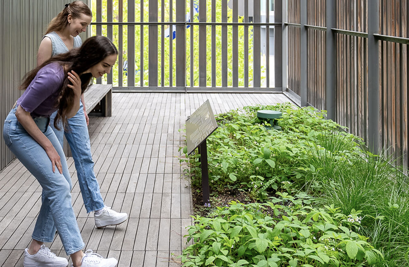 Denver’s Cultural Landscape Is Becoming A Little Greener