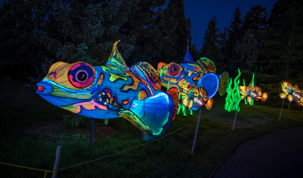 Bright Nights 2026 at Four Mile