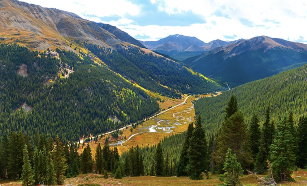 When Is the Best Time to See Peak Fall Colors in Colorado?