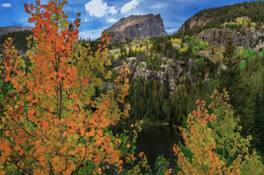 When Is the Best Time to See Peak Fall Colors in Colorado?